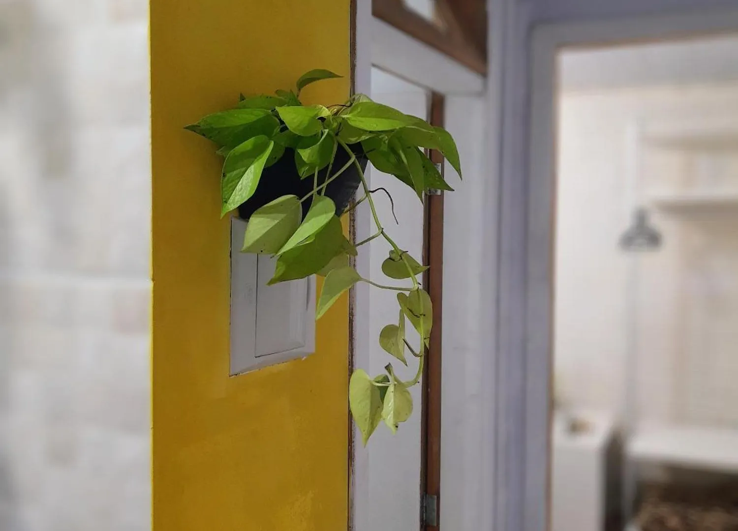 Townhousefloripa II Praia Do Mocambique-Riovermelho Флорианополис Бразилия
